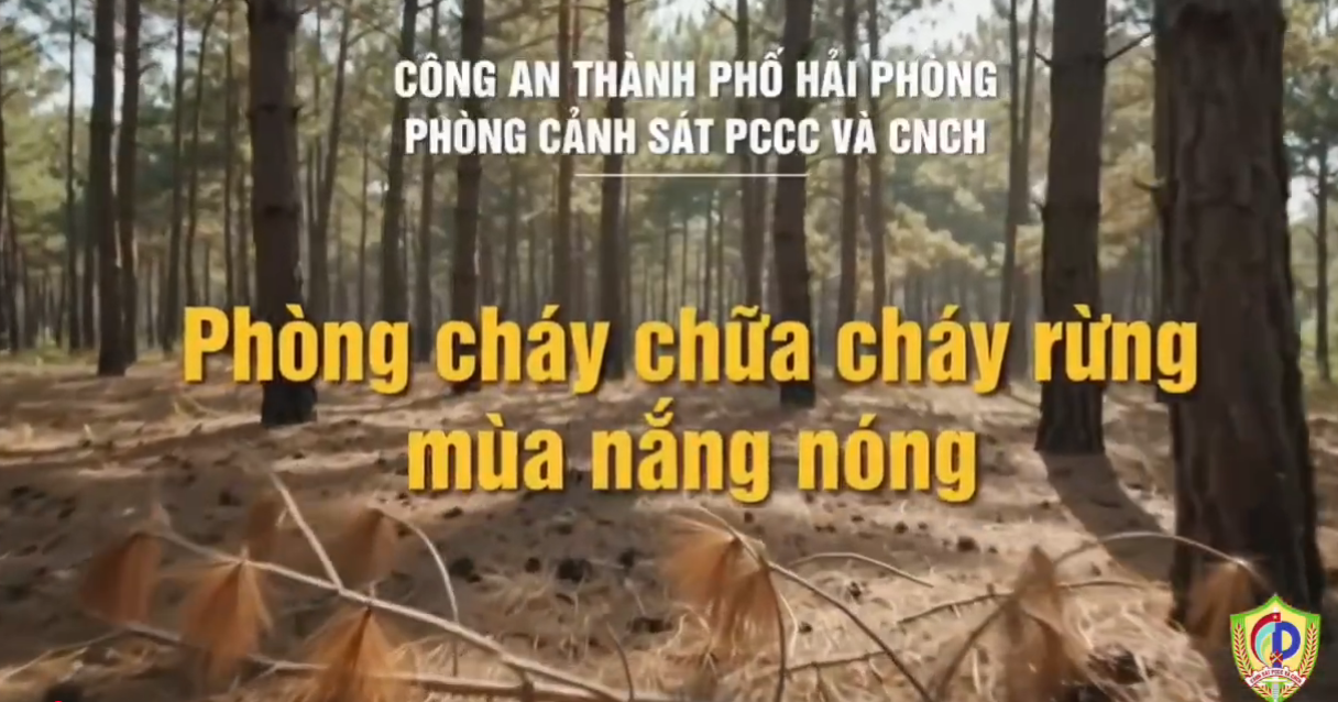 Phòng Chống cháy rừng mùa nắng nóng